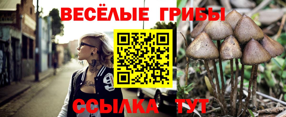 магазин продажи   Псилоцибиновые грибы ЛСД  Нерюнгри  Вход с VPN  Галлюциногенные грибы Psilocybe 